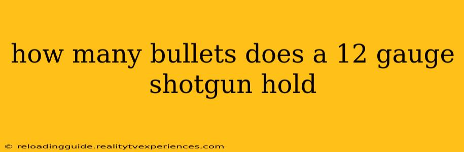 how many bullets does a 12 gauge shotgun hold