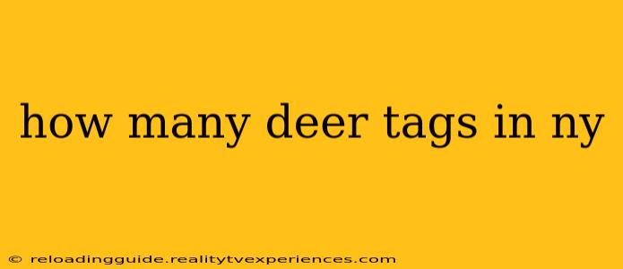 how many deer tags in ny