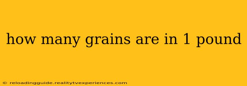 how many grains are in 1 pound