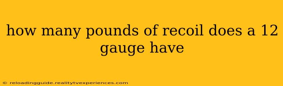 how many pounds of recoil does a 12 gauge have