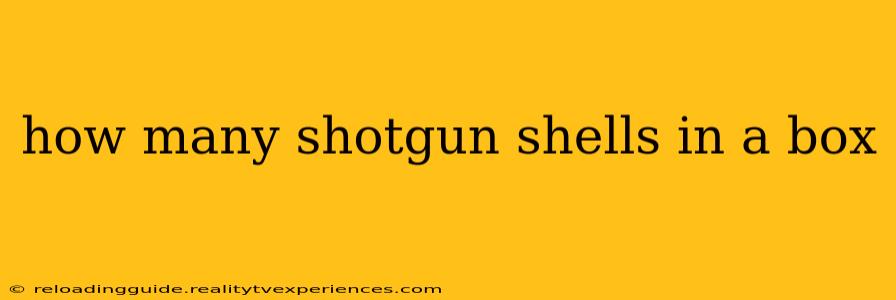 how many shotgun shells in a box