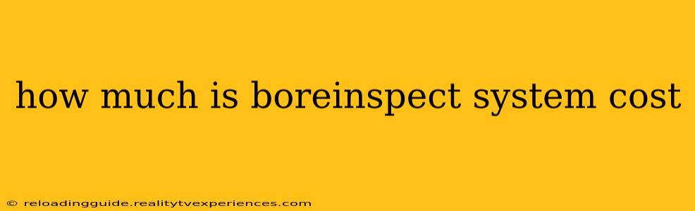 how much is boreinspect system cost