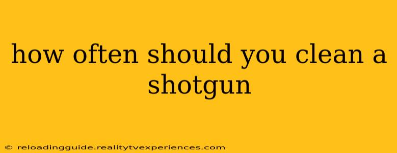 how often should you clean a shotgun