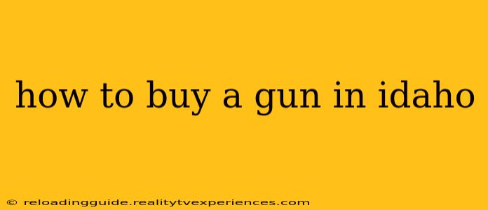 how to buy a gun in idaho