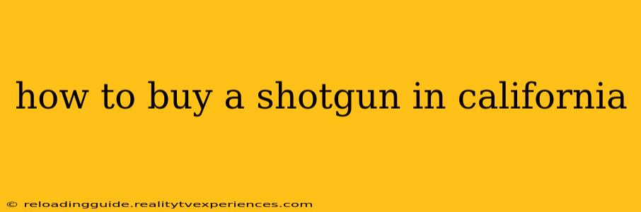 how to buy a shotgun in california