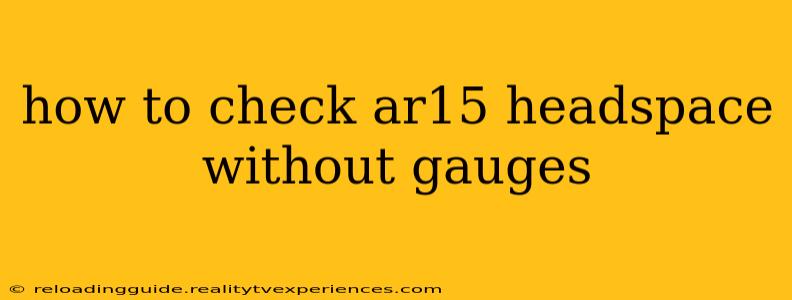 how to check ar15 headspace without gauges