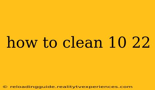 how to clean 10 22