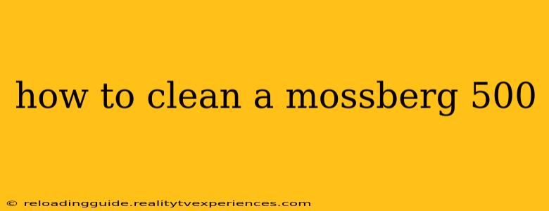 how to clean a mossberg 500