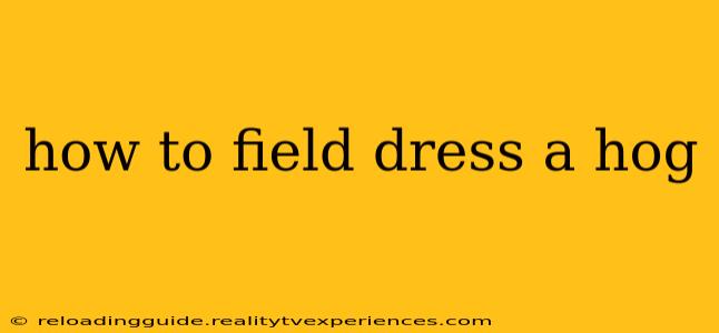 how to field dress a hog