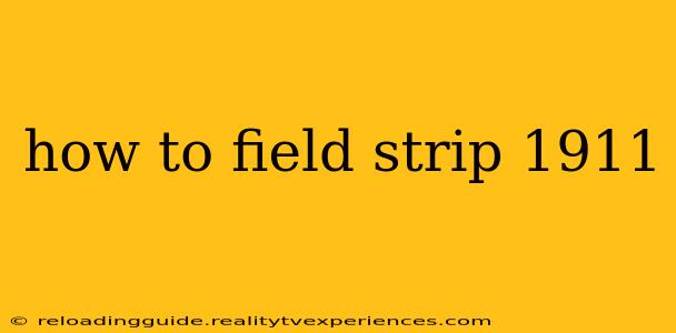 how to field strip 1911