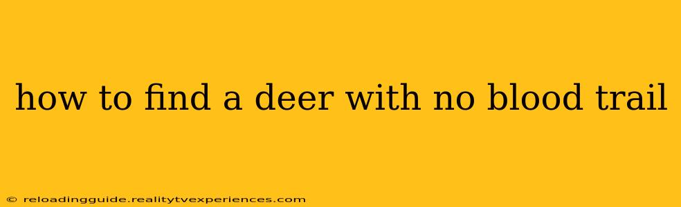 how to find a deer with no blood trail