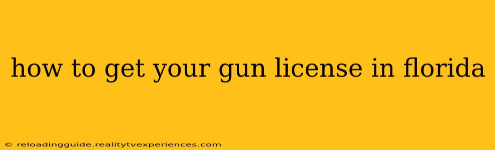 how to get your gun license in florida