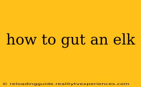 how to gut an elk