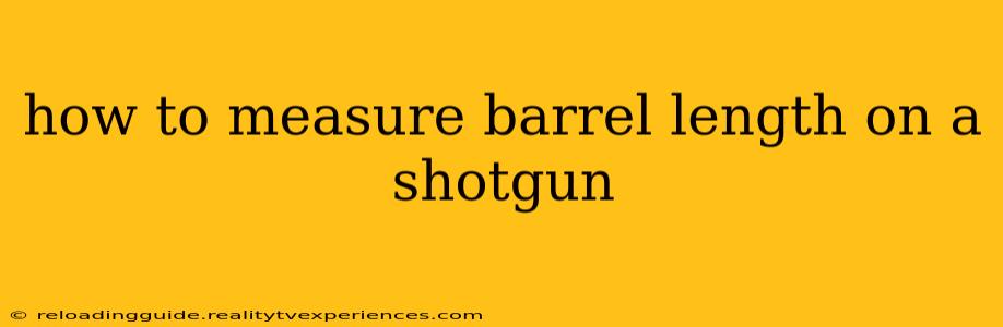 how to measure barrel length on a shotgun