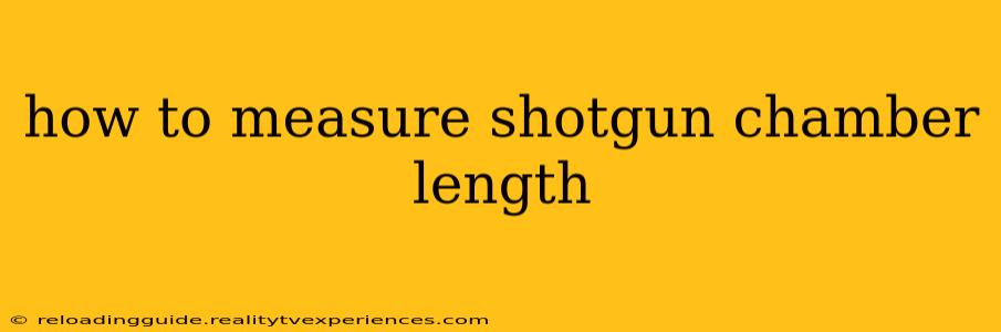 how to measure shotgun chamber length