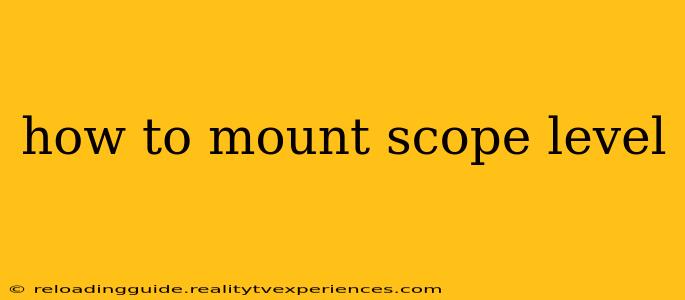 how to mount scope level