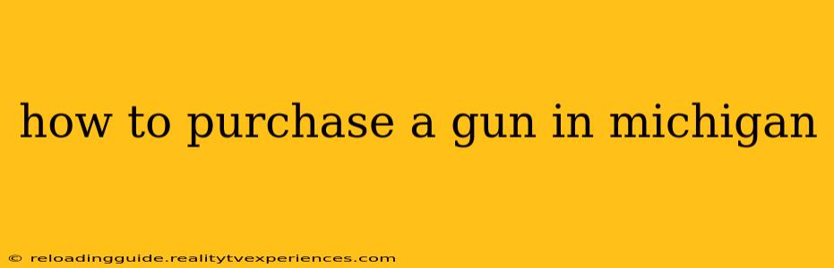 how to purchase a gun in michigan