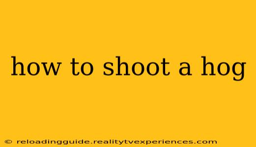 how to shoot a hog