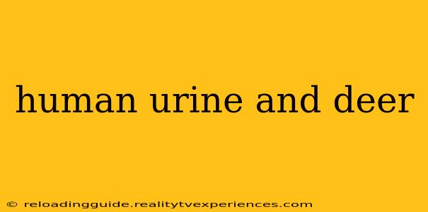 human urine and deer