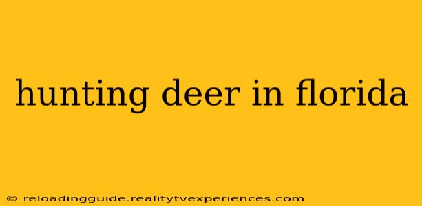 hunting deer in florida