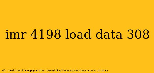 imr 4198 load data 308