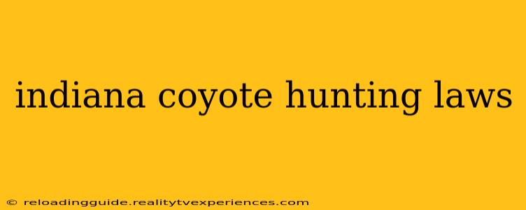 indiana coyote hunting laws