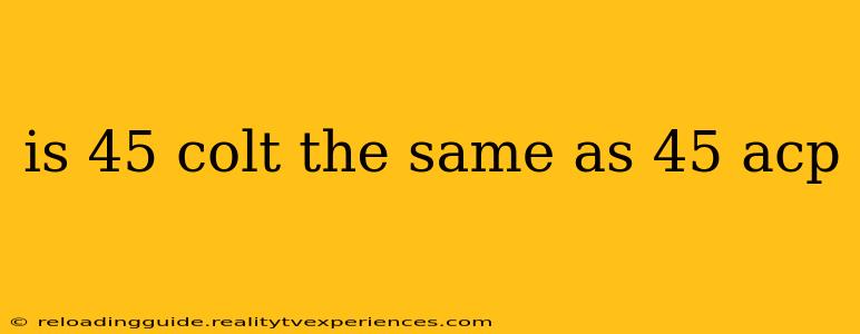 is 45 colt the same as 45 acp