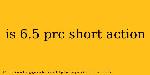 is 6.5 prc short action