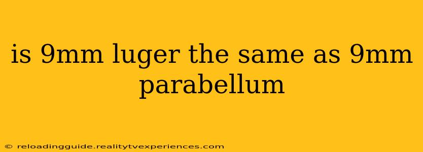 is 9mm luger the same as 9mm parabellum