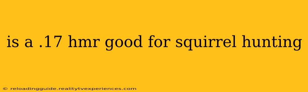 is a .17 hmr good for squirrel hunting