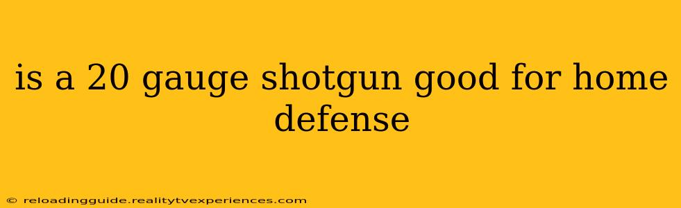 is a 20 gauge shotgun good for home defense