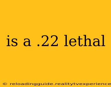 is a .22 lethal