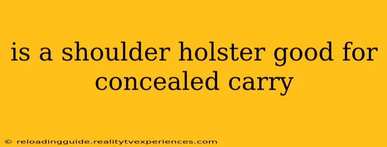 is a shoulder holster good for concealed carry