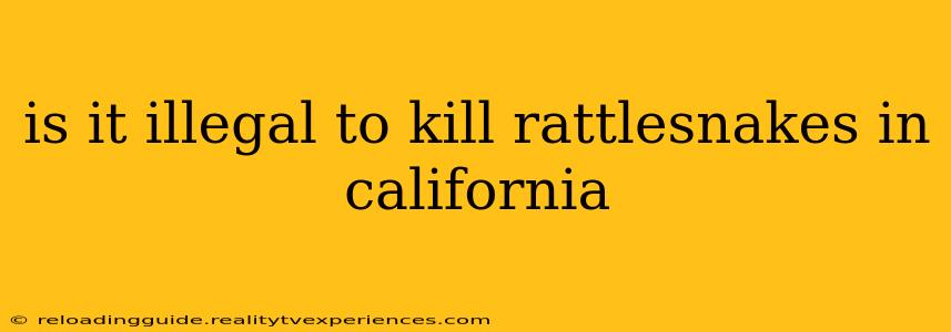 is it illegal to kill rattlesnakes in california