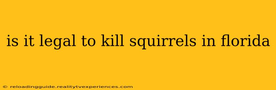 is it legal to kill squirrels in florida