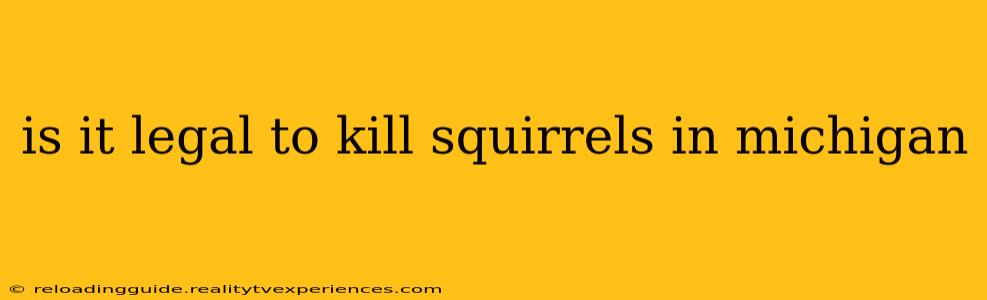 is it legal to kill squirrels in michigan