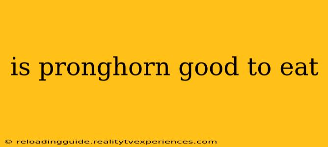 is pronghorn good to eat