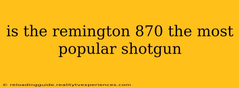 is the remington 870 the most popular shotgun