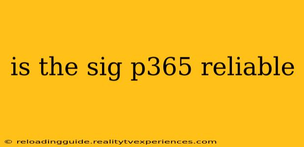 is the sig p365 reliable