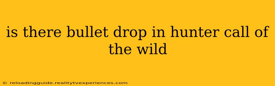 is there bullet drop in hunter call of the wild