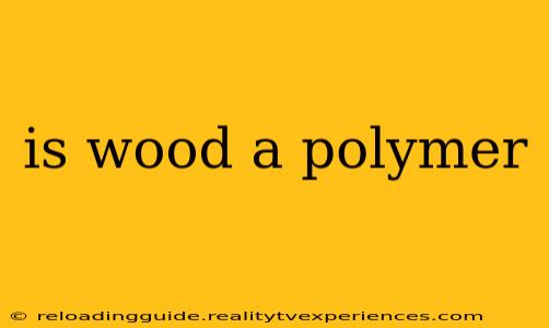 is wood a polymer