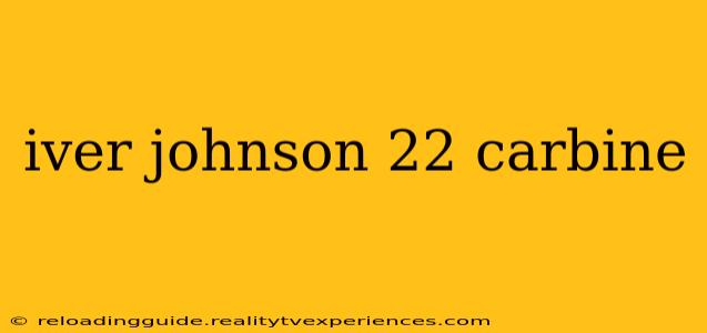 iver johnson 22 carbine