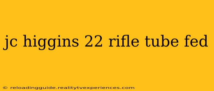 jc higgins 22 rifle tube fed