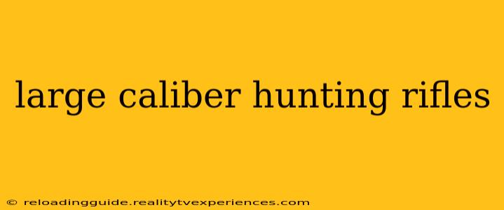 large caliber hunting rifles