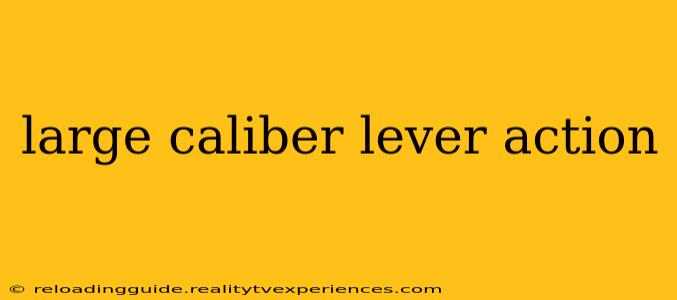 large caliber lever action