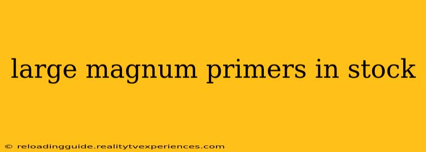 large magnum primers in stock