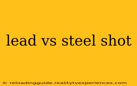 lead vs steel shot