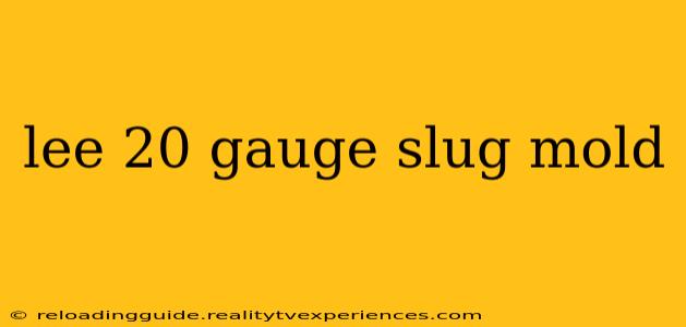 lee 20 gauge slug mold