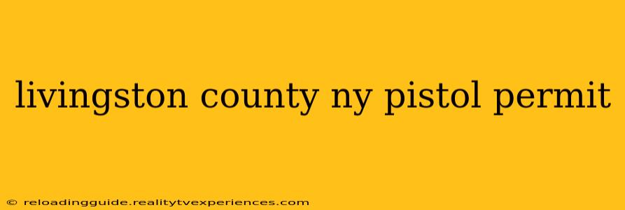 livingston county ny pistol permit