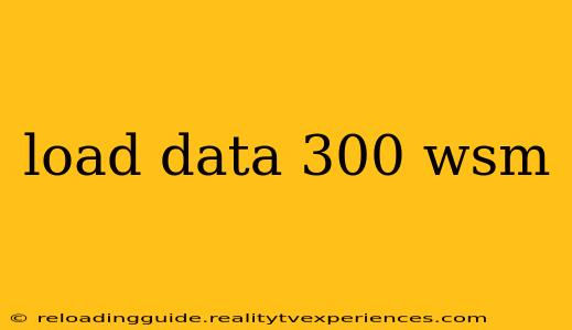 load data 300 wsm